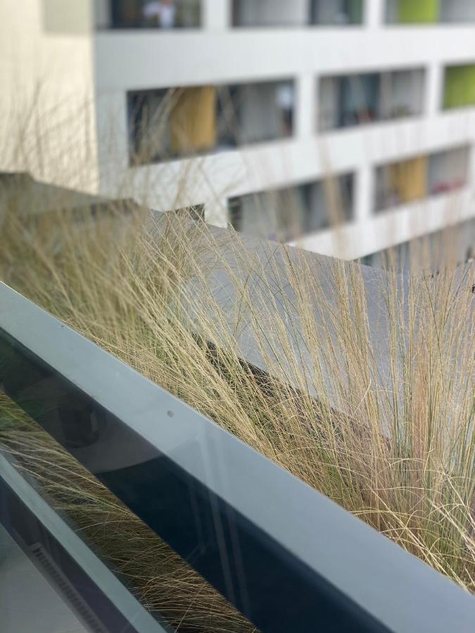 Apartman pri Radnici Košice Exterior foto